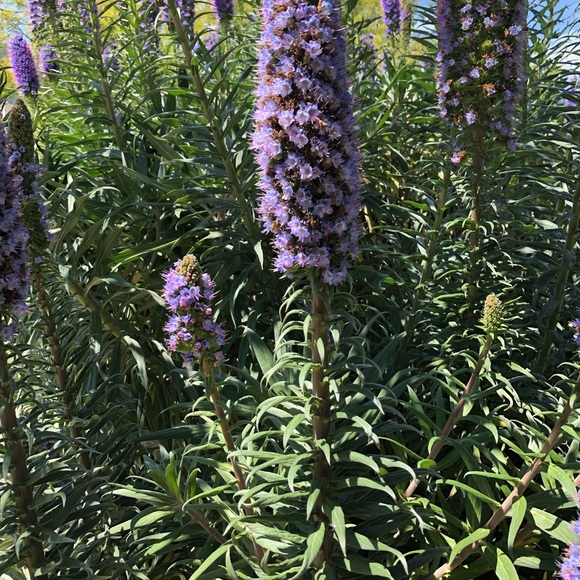 Meet your Posher, Beth - Picture 1 of 1